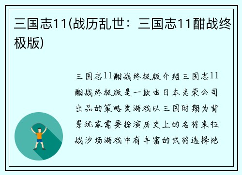 三国志11(战历乱世：三国志11酣战终极版)